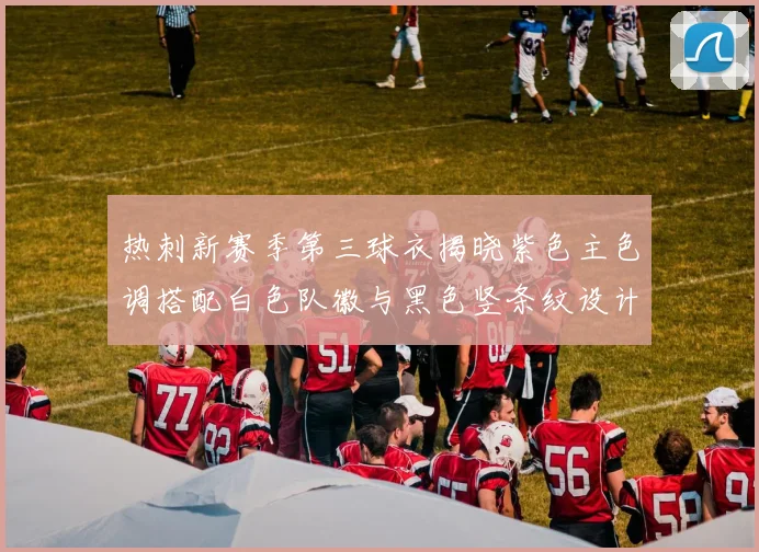 热刺新赛季第三球衣揭晓紫色主色调搭配白色队徽与黑色竖条纹设计